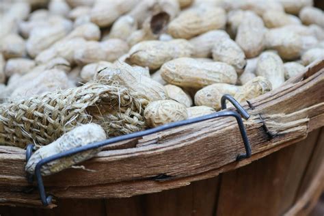 Brown Peanut On Brown Container · Free Stock Photo