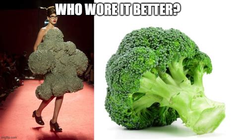 Who Wore It Better Fashion Week Imgflip