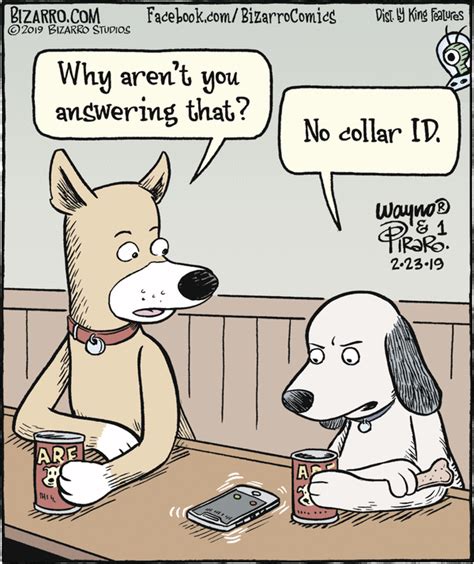 Bizarro For 2232019 Dog Comics Cartoon Jokes Funny Animal Jokes