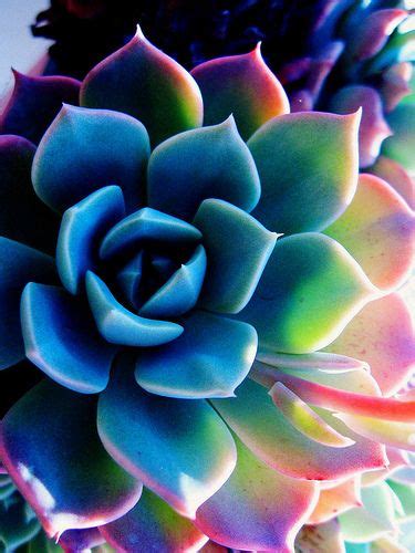 Most Beautiful Nature Photos Find & download the most popular nature photos on freepik free for commercial use high quality images over 8 million stock photos.