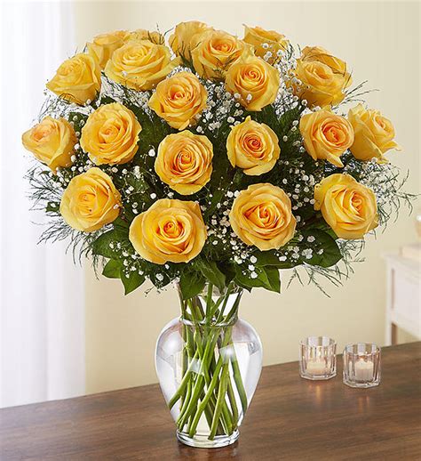 Ultimate Elegance 2 Dozen Long Stem Yellow Roses