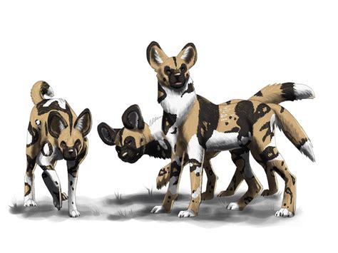 Kit Leighton African Painted Dogs