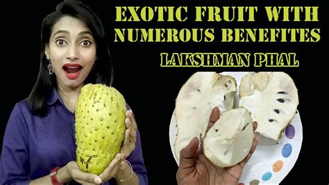 Exotic Fruit With Miraculous Benefits Lakshman Phal Sahijeeth Youtube