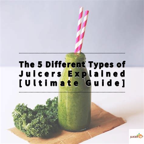 The 5 Different Types Of Juicers Explained Ultimate Guide Juicer