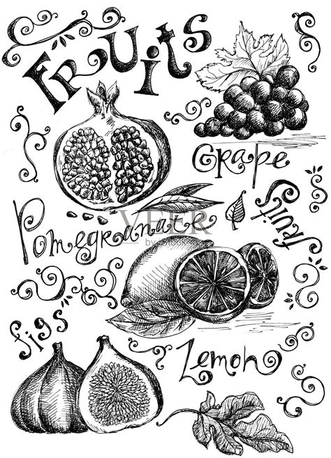 Fruits插画图片素材 Id 150727912 Veer图库