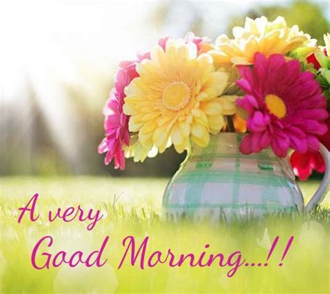 My Good Morning Wishes For You Free Good Morning Ecards Greeting