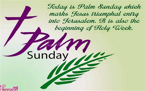 Palm Sunday Greeting Wallpaper Hd Wide Palm Sunday Quotes Sunday