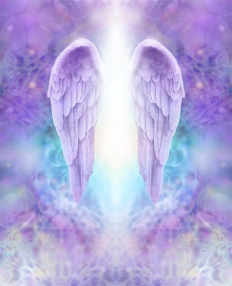 Lilac Angel Wings Beautiful Pair Of Lilac Angel Wings With White