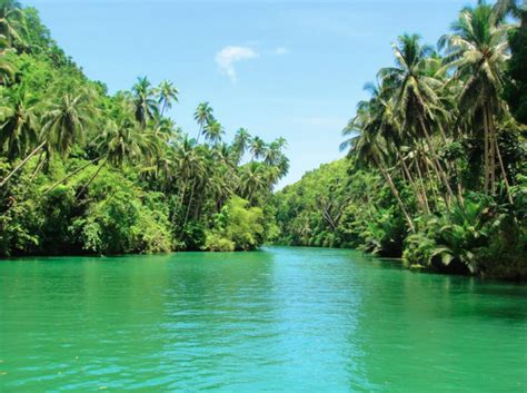 We did not find results for: Kapuas Adalah Salah Satu Sungai Yang Mengalir Di Pulau