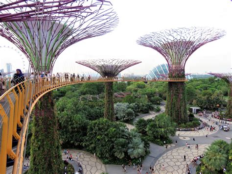 Bei der buchung auf tripadvisor erhalten sie eine vollständige rückerstattung, wenn sie mindestens 24 stunden vor dem startdatum der tour. Gardens By The Bay, Singapore - Complete Guide & Review ...