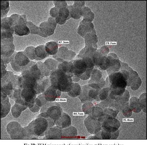 Synthesis And Characterization Of Mesoporous Silica From Sugarcane