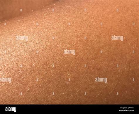 Close Up Mature Tanned Skin Of A Human Body Stock Photo Alamy