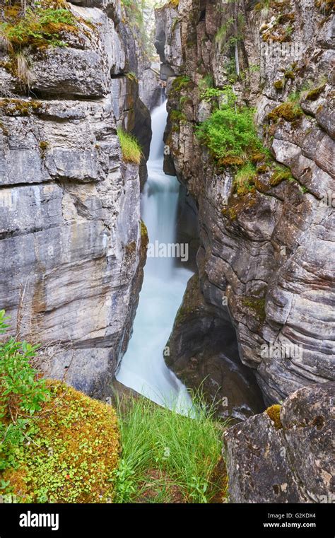 Maligne Canyon Waterfall Jasper National Park Alberta Canada Stock