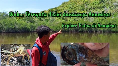 Good availability and great rates. Explore Pulau Indah Di Anambas Yang Mempunyai Ciri Khas ...
