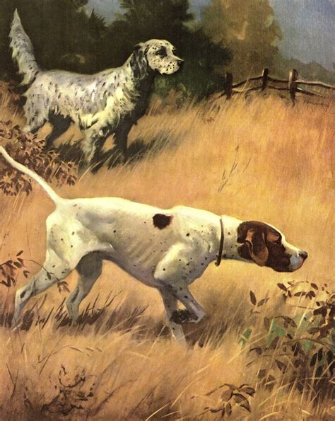Vintage Pointer Dog Print English Setter Dog Print Wall Art Etsy