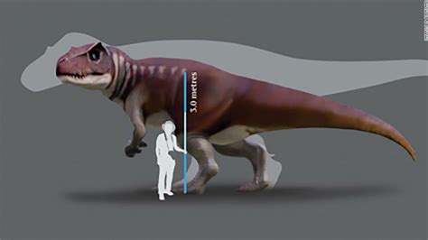 Huge Carnivorous Dinosaurs Lived In Australia Scientists Discover Cnn