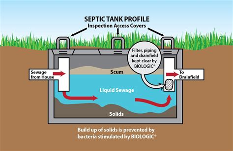 Clean Septic Systems Scicorp