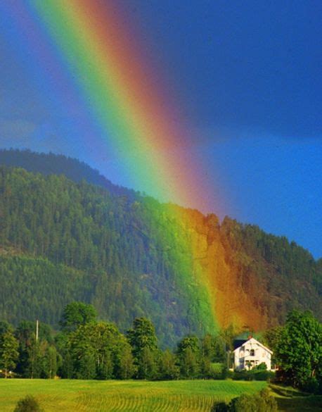 1000 Images About The Beautiful Rainbow Jehovah Gods Promise On