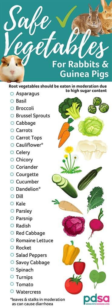 Safe Vegetables For Rabbits And Guinea Pigs Pdsa