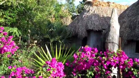 En la región noreste del estado. casa humilde pero jardin bonito mas palapa Maya y plantas ...