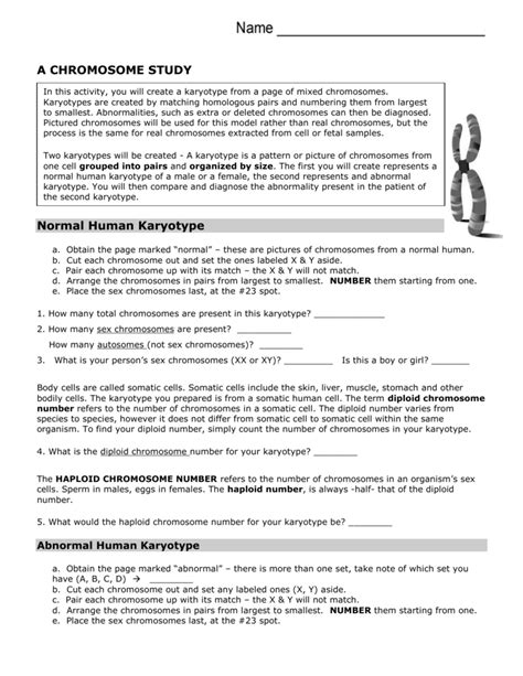 Biology Karyotype Worksheet Answers Key