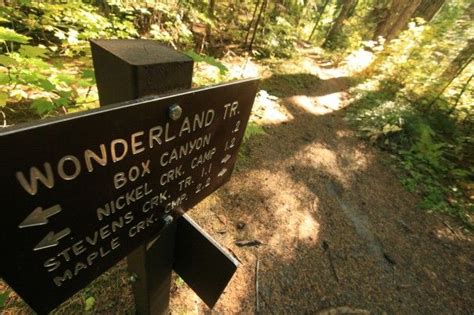 Wonderland Trail At Mt Rainier National Park Central Cascades