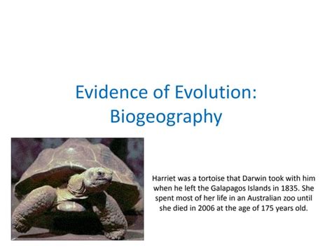 02 Evidence Of Evolution Biogeography Ppt