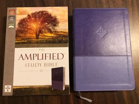 Personalized Amplified Study Bible Large Print Purple Leathersoft