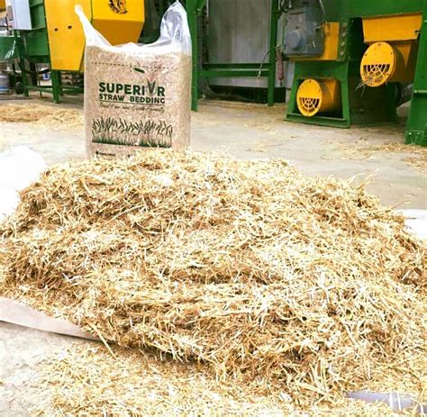 Superior Straw Bedding Efficient Environmentally Friendly Cost