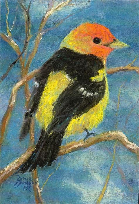 Western Tanager Painting By Grace Goodson Fine Art America