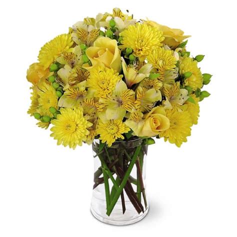 Photos, address, and phone number, opening hours, photos, and user reviews on yandex.maps. Yellow Sensation Bouquet in Hampton Falls, NH | Flowers by ...