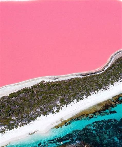 Existe Um Lago Rosa Pink Na Austrália E Nós Estamos Impactadas