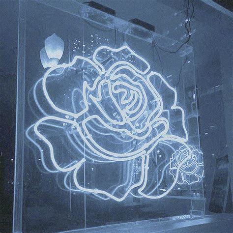See more ideas about black neon, purple aesthetic, dark purple aesthetic. White rose | Neon aesthetic | Neon aesthetic, Neon signs ...