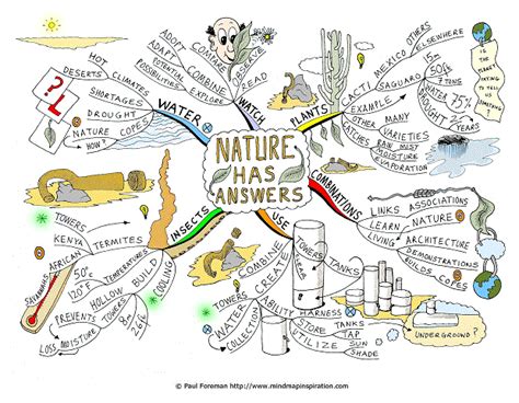 Nature Has Answers Creative Mind Map Creative Thinking Design