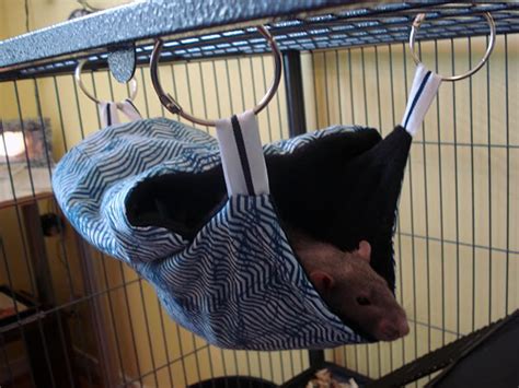 Check out our dog grooming hammock selection for the very best in unique or custom, handmade pieces from our pet supplies shops. DIY Covered Rodent Hammock - petdiys.com