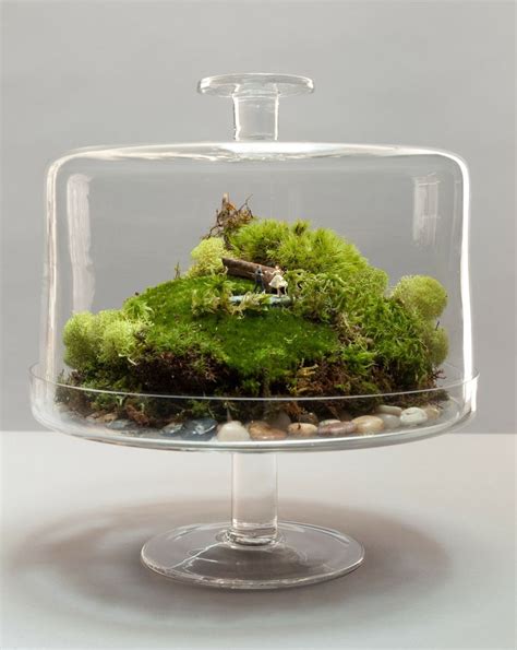 How To Make A Terrarium Take A Look At These 7 Adorable