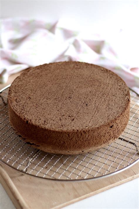 Hallo meine lieben, heute möchte ich euch zeigen, wie ich meinen biskuitteig selber mache und somit einen sehr leckeren biskuitboden bekomme. Schokoladen-Biskuit Grundrezept | Rezept | Schokoladen ...