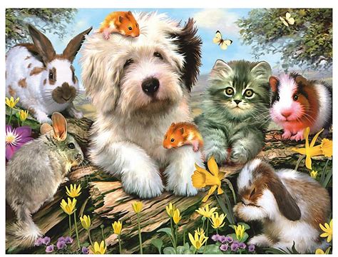 Adequate liver function is essential for the healthy, happy life of your pet. HD Dog Images, Download Dog Wallpapers, Free Images, Pets ...
