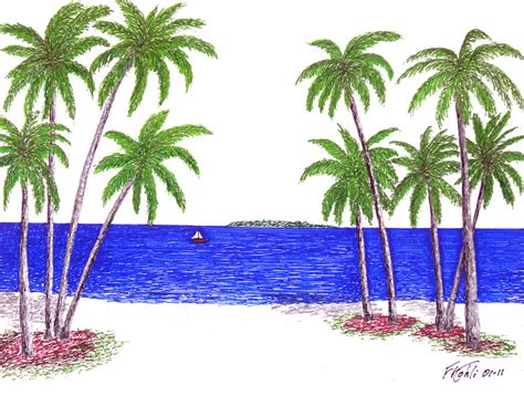 Tropical Beach Drawing By Frederic Kohli