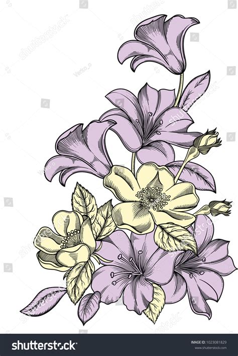 Vector Illustration Flowersdetailed Flowers Sketch Style Stock Vector
