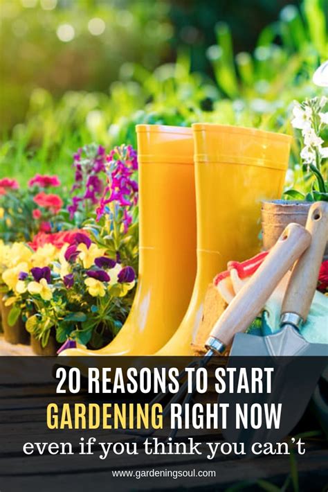 Reasons To Start Gardening Right Now Gardening Soul