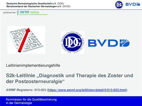 PDF Leitlinienimplementierungshilfe AWMF Zoster Oticus Mit