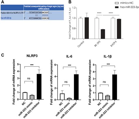 mir 223 3p mediated nlrp3 downregulation is critical for inflammation download scientific
