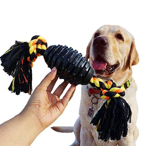 10 Best Toughest Dog Toys For Heavy Chewer Pets Top Picks And Guide