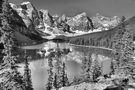 Moraine Lake Morning Reflections Through The Trees Black And White