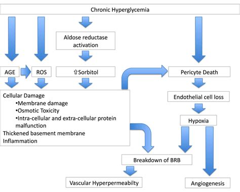 Pathogenesis Of Diabetic Retinopathy Schematic Overview Of The Effects