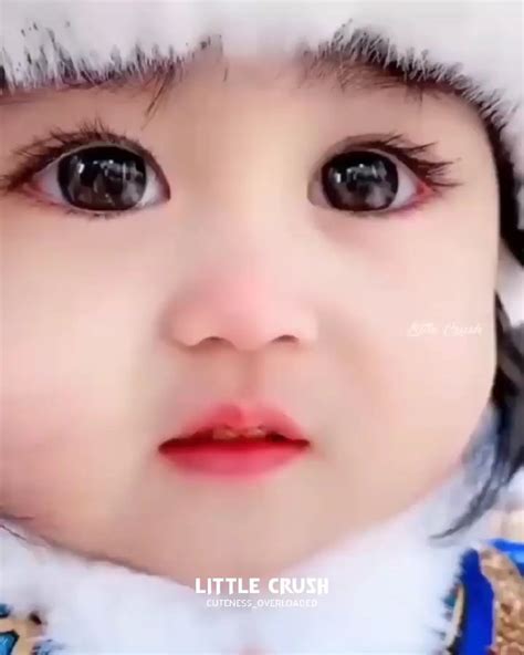 Don T Ignore This Cuteness 😍 🥰 Don T Ignore This Cuteness 😍 🥰 By Little Crush