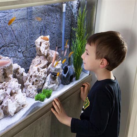 Aquarium akrilik nikita triset ukuran l / nikita glass water tank l: Jenis Kaca Yang Bagus Untuk Akuarium