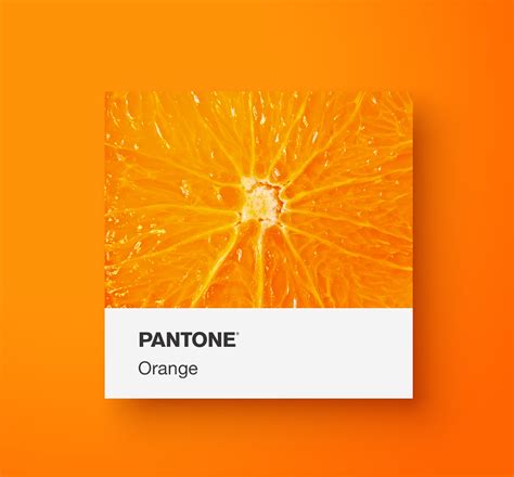 Pantone Orange Yoenpaperland