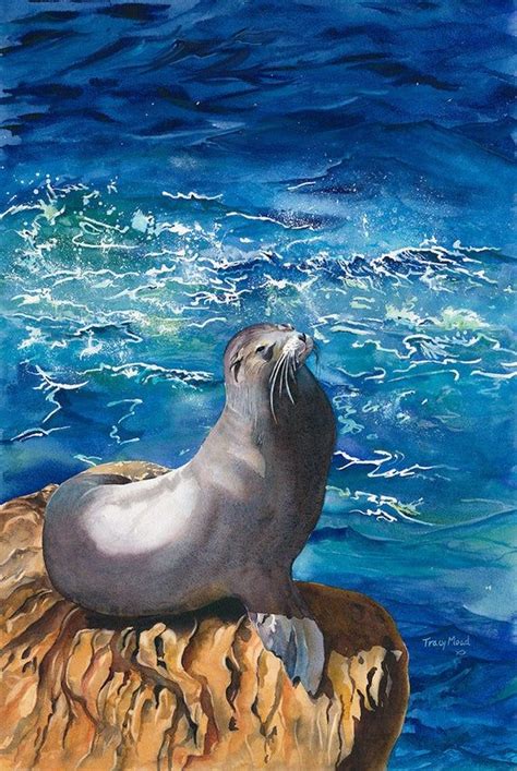 Sea Lion Ocean Life Watercolor Prints And Original Lady Of La Etsy
